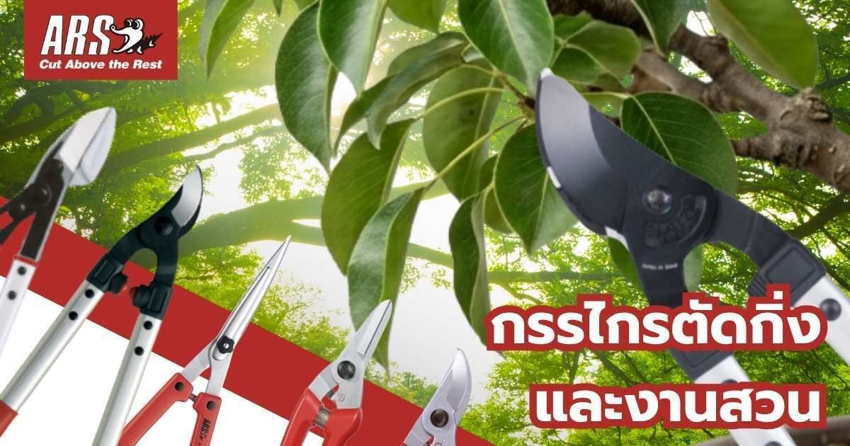 ARS จาก “มีดตัดยาสูบ” สู่ที่สุดของ “กรรไกรตัดแต่งกิ่ง” รากฐานความสำเร็จจากรุ่นสู่รุ่น