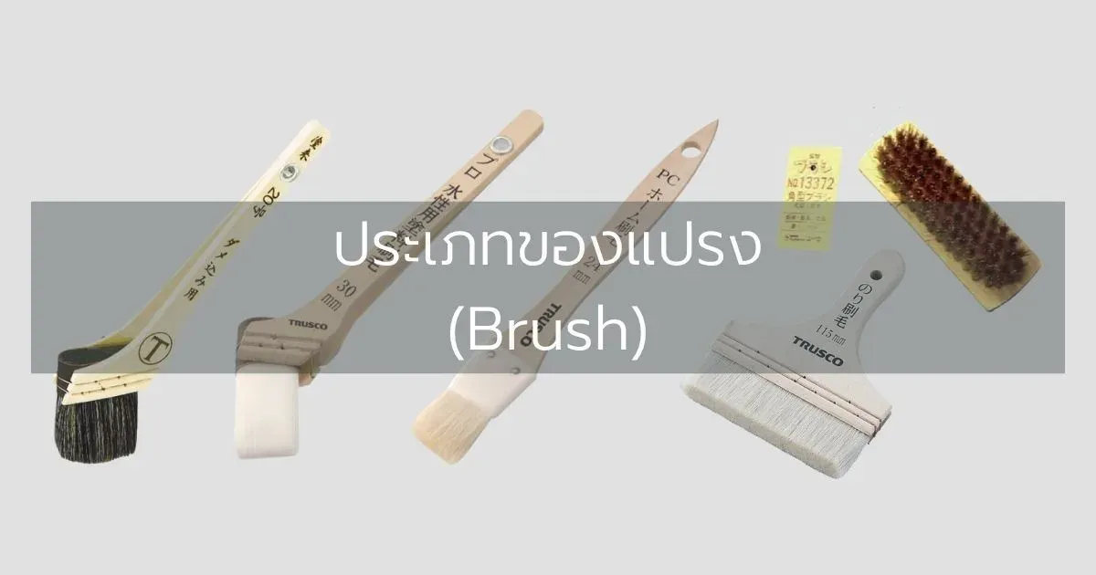ประเภทของแปรง (Brush)