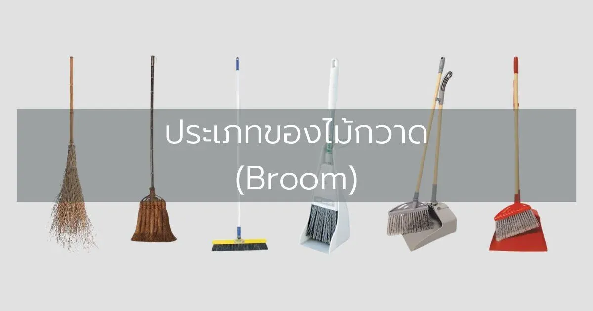ประเภทของไม้กวาด (Broom)