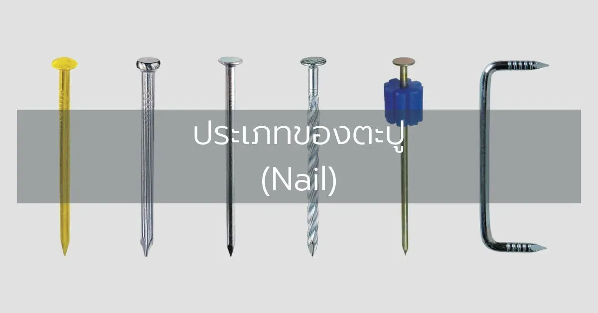 ประเภทของตะปู (Nail)