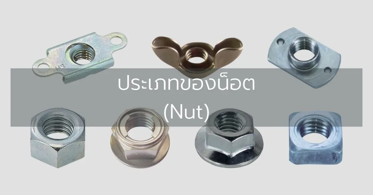 ประเภทของน็อต (Nut)