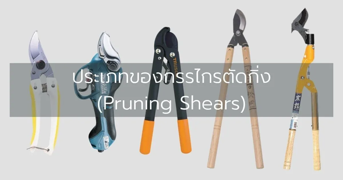 ประเภทของกรรไกรตัดกิ่ง (Pruning Shears)