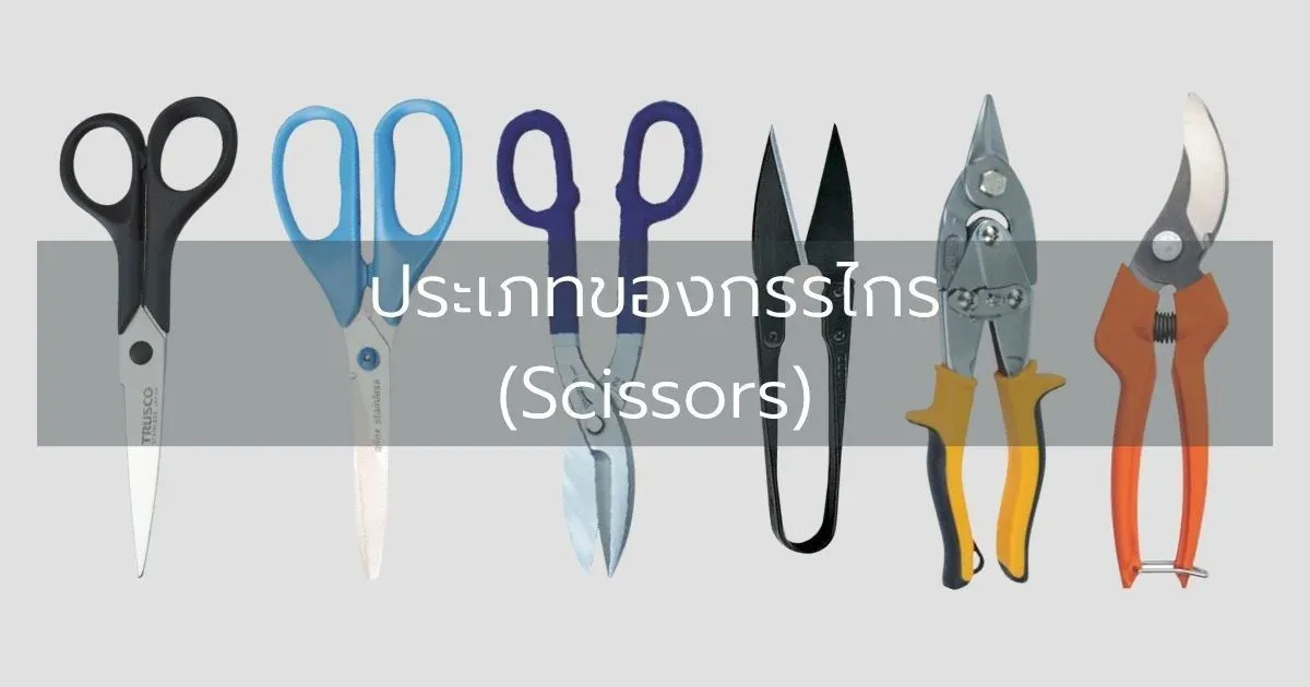 ประเภทของกรรไกร (Scissors)