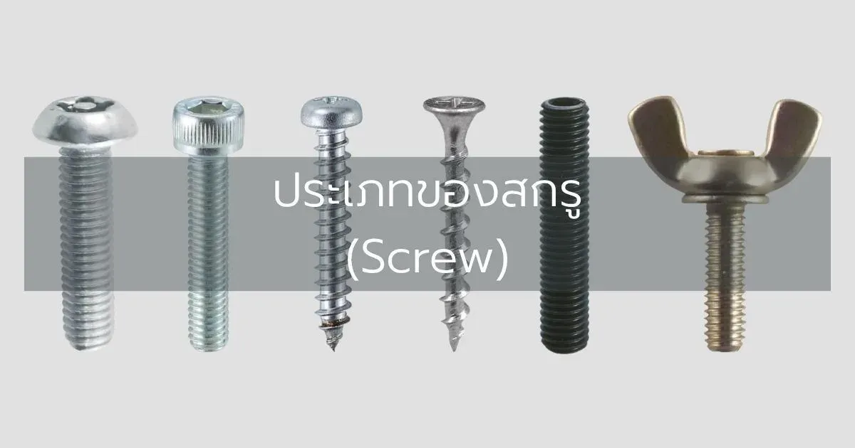 ประเภทของสกรู (Screw)