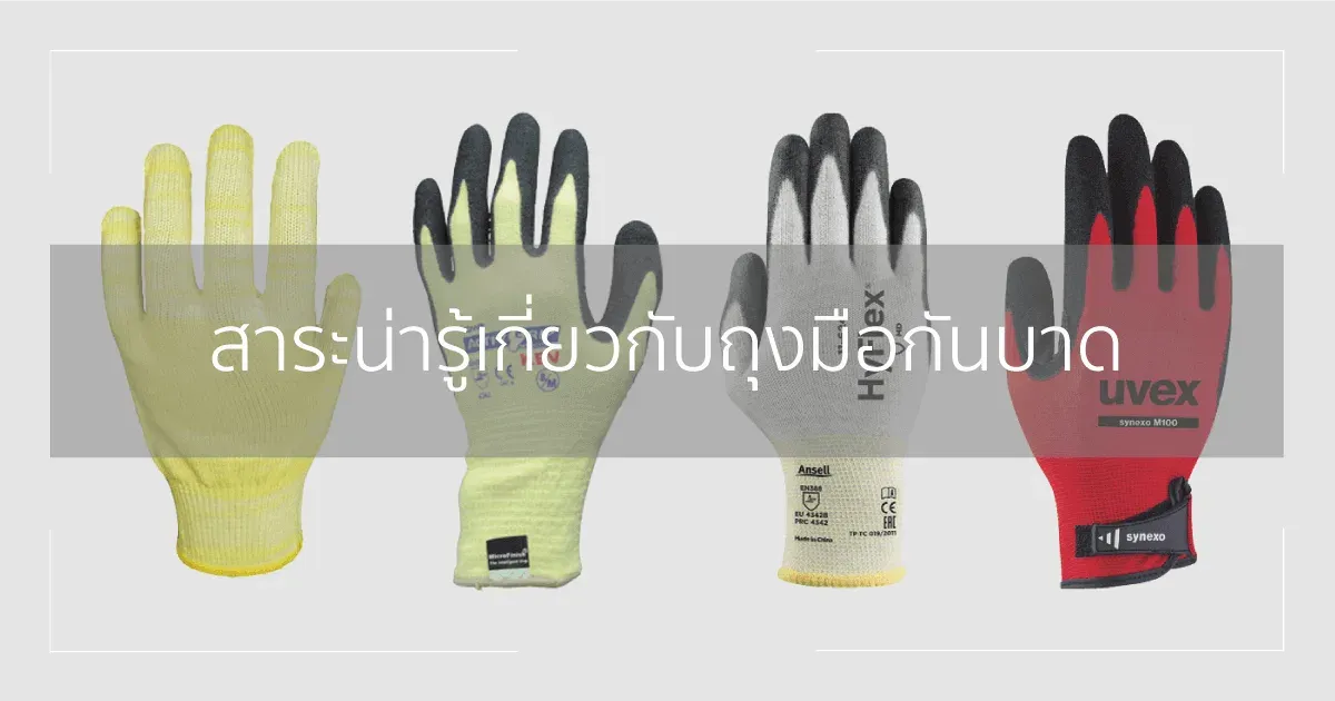 สาระน่ารู้เกี่ยวกับถุงมือกันบาด
