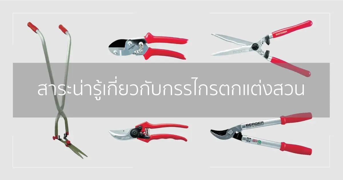 สาระน่ารู้เกี่ยวกับกรรไกรตกแต่งสวน
