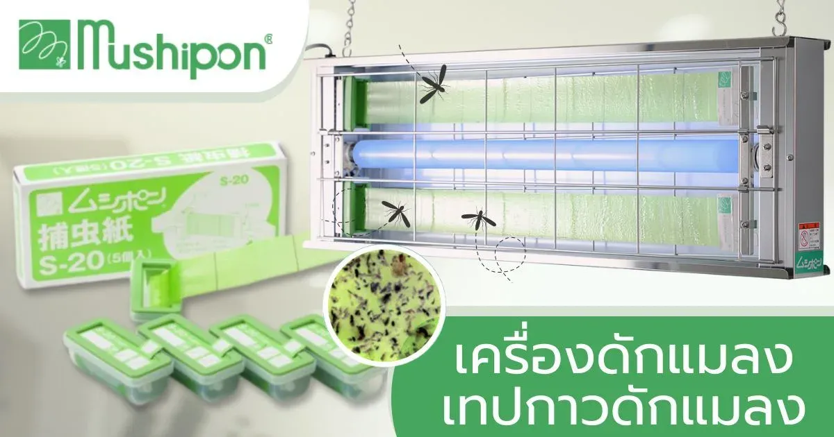เครื่องดักแมลง MUSHIPON จากบริษัท Benhar ผู้ผลิตเครื่องชั่งสู่ผู้เชี่ยวชาญด้านการควบคุมแมลง