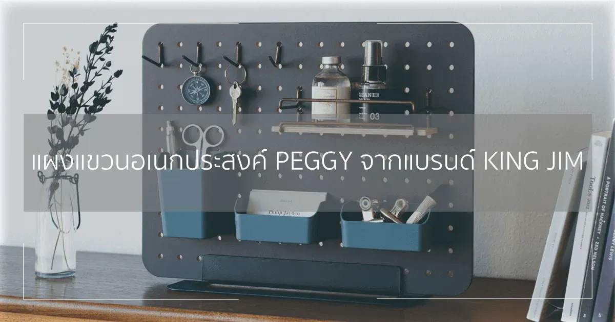 แผงแขวนอเนกประสงค์ PEGGY จากแบรนด์ KING JIM