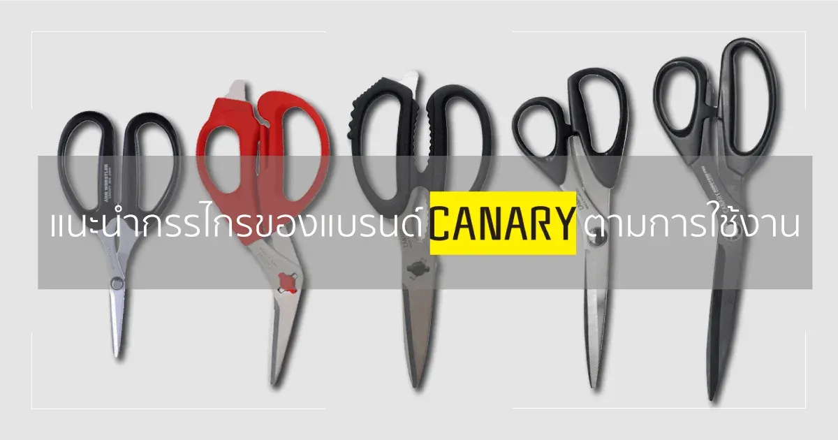 แนะนำกรรไกรของแบรนด์ CANARY ตามการใช้งาน