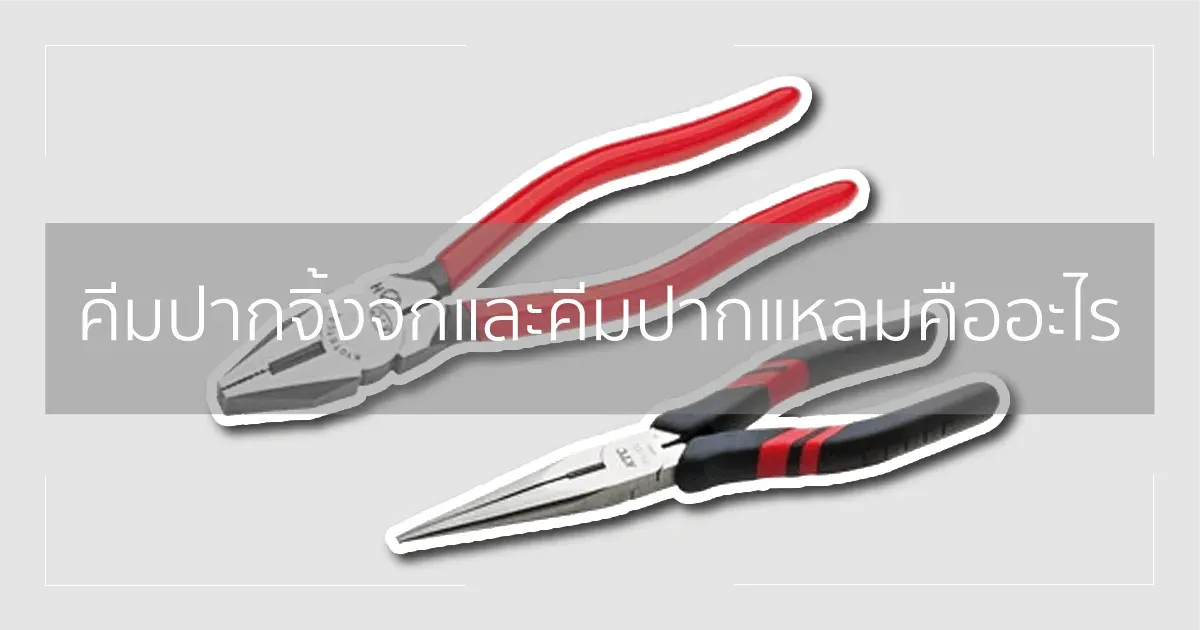 คีมปากจิ้งจกและคีมปากแหลมคืออะไร