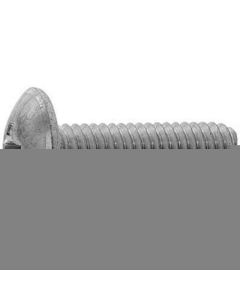 Alokbase Trivalentzinccr+3white(+)Machine Screw Truss กล่องละ 2.500เส้น