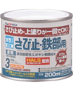 Water Based Anti-Rust Color Paint 6ใบ
