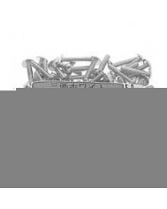 Trivalentzinccr+3white100pcs Pack(+)MachineScrew Truss กล่องละ 100เส้น