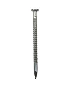 Stainless Ring Nail กล่องละ 1kg