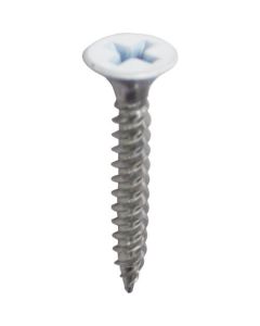 Color Screw For Light Gauge Steel(Stainless) กล่องละ 500เส้น