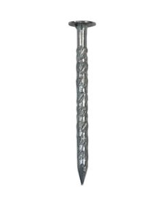 Stainless Power Screw Nail 1อัน