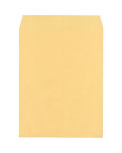 Kakugata 3 85g OK Gold 010403 500 ชิ้น x 2 กล่อง