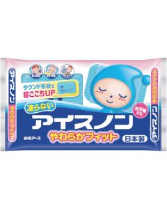 Ice Pack 10 อัน อันละ 1 อัน