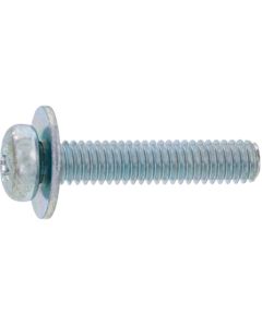 Zinc Black (+) Pan Head P = 1 2 X 4 กล่องละ 4,000 เส้น