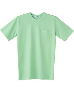 เสื้อเชิ้ตแขนสั้น สีเขียวมิ้น LL