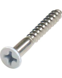 Stainless Coler Wood Flat Head Screw ชุดละ 16เส้น