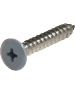 Stainless Coler Flat Head Tapping Screw ชุดละ 8เส้น