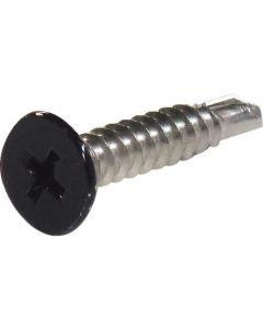 Stainless Self Drill Screw ชุดละ 8เส้น