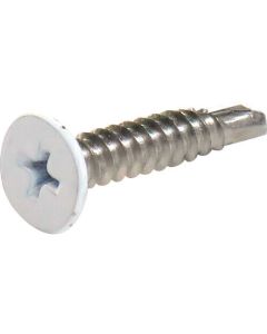 Stainless Self Drill Screw ชุดละ 8เส้น