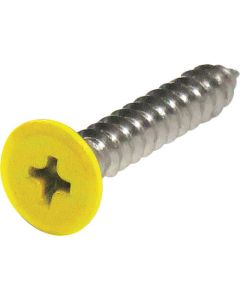 Stainless Coler Flat Head Tapping Screw ชุดละ 8เส้น