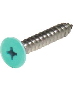 Stainless Coler Flat Head Tapping Screw ชุดละ 8เส้น