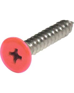 Stainless Coler Flat Head Tapping Screw ชุดละ 8เส้น