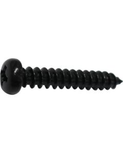 Black Pan Head Tapping Screw 5ชุดชุดละ 6เส้น