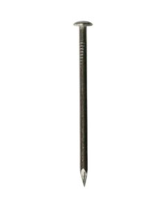 Stainless Steel Nail 5ชุดชุดละ 3เส้น