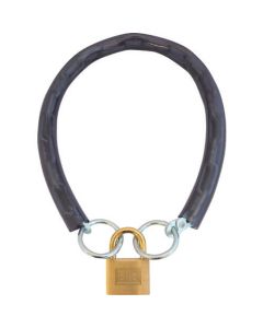 Chain & Padlock 1อัน