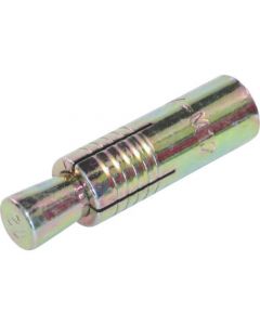 พุกตะปู เหล็ก ชนิด CA