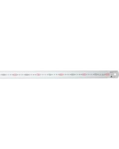 Silver Ruler