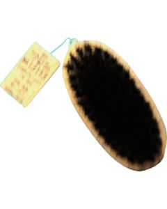 Brush 6อัน