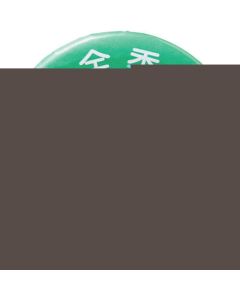 Badge 1อัน