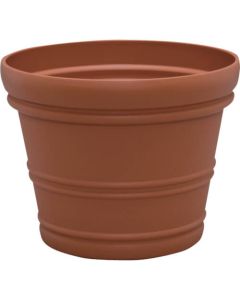 a flower pot 1อัน