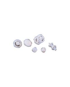 ไส้กรอง PTFE ไซริงค์ PTFE025022L 100 ชิ้น