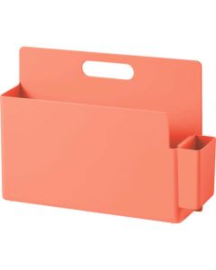 Carry Box 1อัน