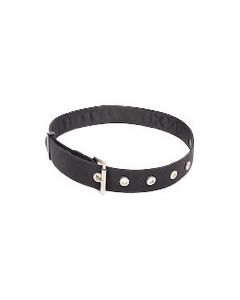 เข็มขัดอเนกประสงค์ DBI-Sara (TM) 1500113 (ขนาดเอว 71-117ซม.)