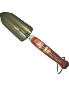 การปลูกถ่ายธาตุเหล็กแบบมืออาชีพขนาดเล็ก