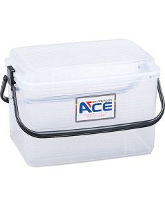 Containar Ace 12 อัน