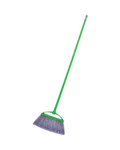 Italian Broom