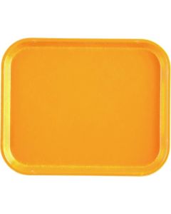 ถาดกล้อง (FRP) 1014 สีมัสตาร์ด