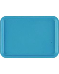 แคมเทรย์ (FRP) 57 สีฟ้าอ่อน (Robin Egg Blue)