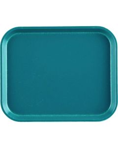 ถาดวางกล้อง (FRP) 1014 สีเขียวอมฟ้า