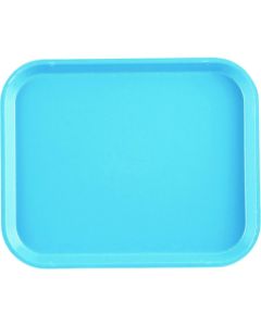 แคมเทรย์ (FRP) 1014 สีฟ้าอ่อน (Robin Egg Blue)