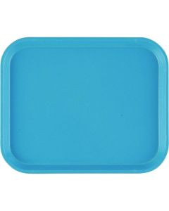 แคมเทรย์ (FRP) 810 สีฟ้าอ่อน (Robin Egg Blue)
